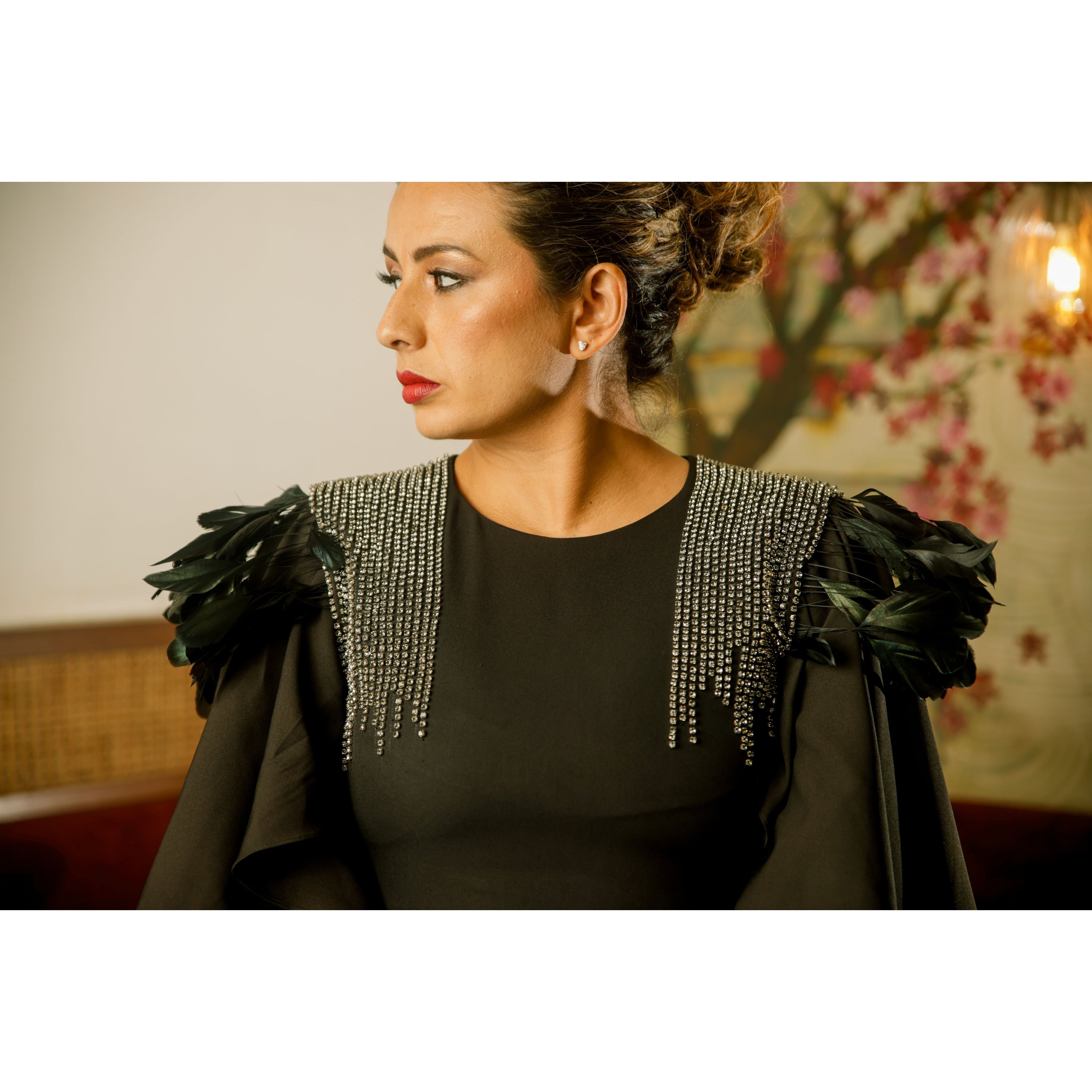 Midi dress with embellishments and feathers